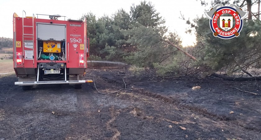 Znów to samo! Ktoś bezmyślnie podpala, a strażacy muszą gasić. Taki pożar może mieć katastrofalne skutki 