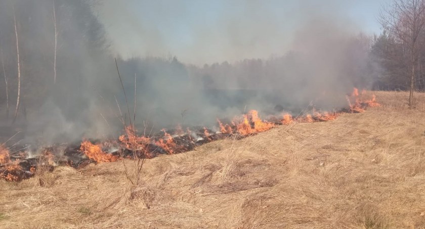 Kolejny duży pożar suchych traw. A właściwie dwa. W akcji osiem zastępów i samolot