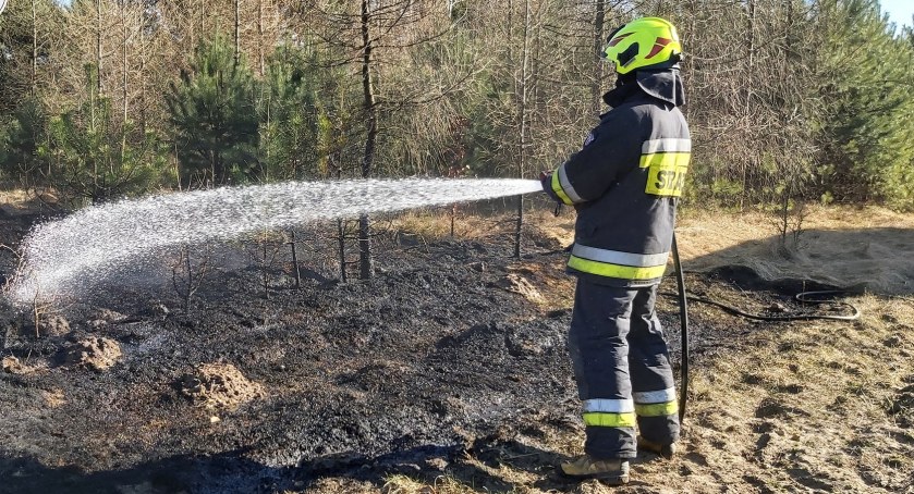 Podpalacz stracił spodnie i bieliznę. Prawdopodobnie ma poparzone nogi. Na strażaków nie czekał, uciekł do lasu
