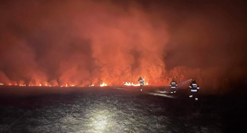 Nie ma dnia bez pożaru traw. W poniedziałek paliło się w Jedlnie, Ochocicach, Kobielach i Kolonii Myśliwczów