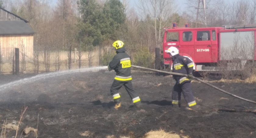 I znów pożar traw. Tym razem w Gowarzowie w gminie Gidle. Tuż obok sklepu