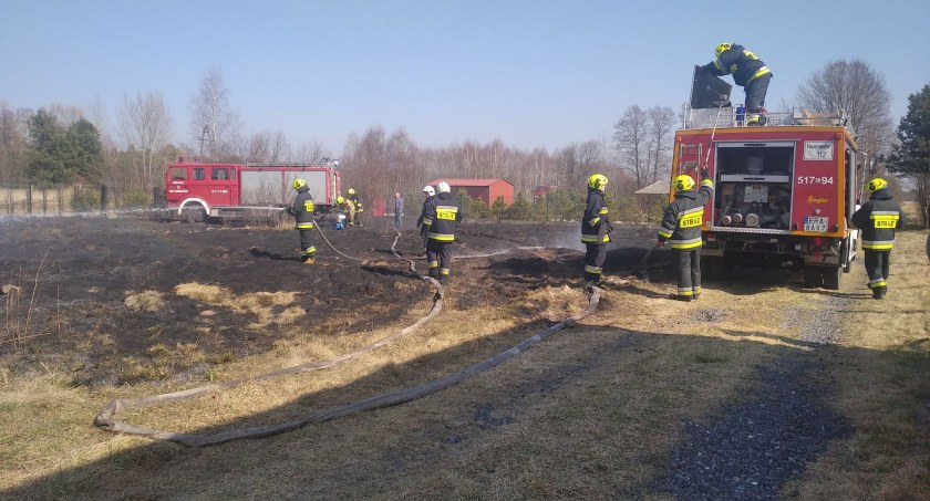 Rozpalona głupota. To katastrofa dla ziemi i dla żyjących w niej zwierząt