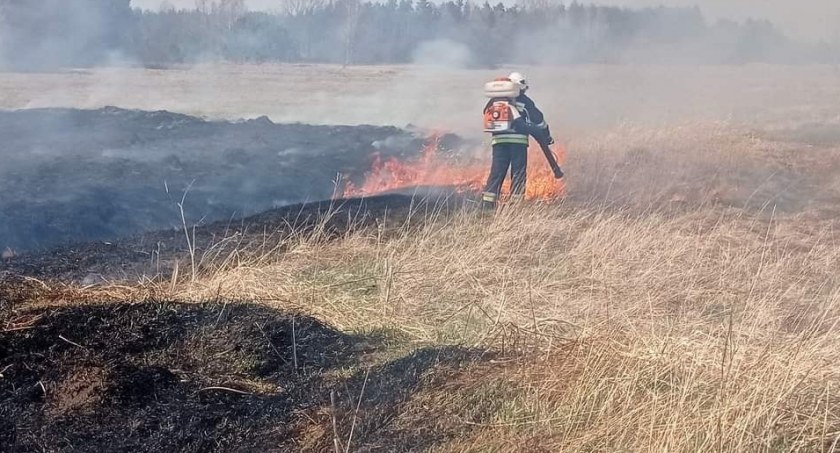 Niewiele brakowało, a zapaliłby się las. Znów wypalają trawy