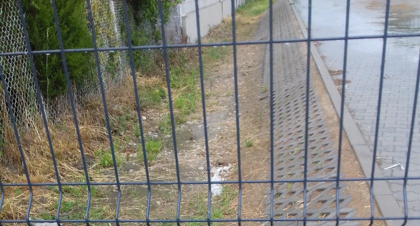 Stosunki sąsiedzkie utopione w deszczówce. Pani Joanna: sąsiad nas zalewa. Pan Grzegorz: o pieniądze chodzi