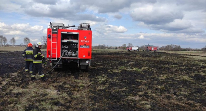 Znów zapłonęły nieużytki w gminie Gidle. Kolejny pożar traw w okolicach Stęszowa