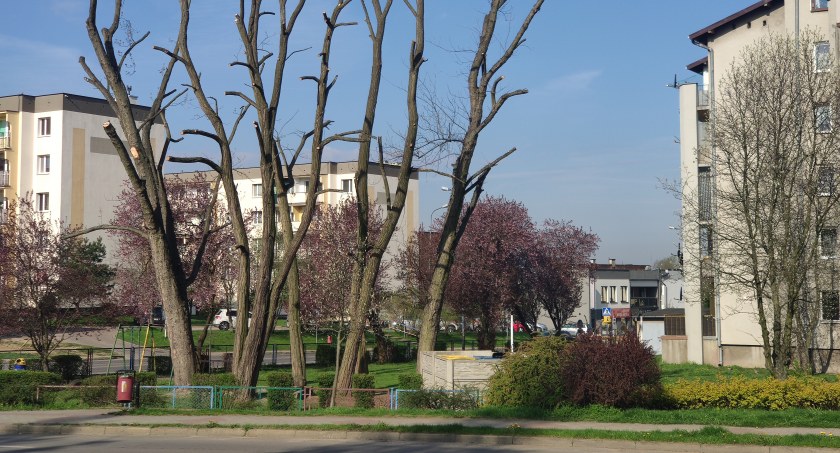 Rzeźnik z piłą: po tej „pielęgnacji
