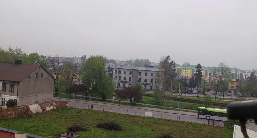 Była grusza, nie ma gruszy. Pod piłę poszło dorodne drzewo w centrum miasta 