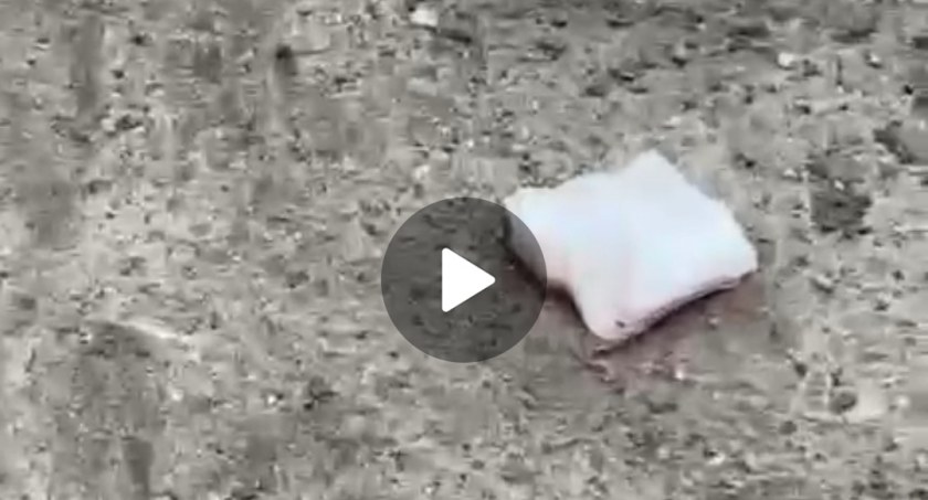 [Wideo] Strzelanina w Radomsku. Pani Edyta: Dlaczego to wciąż leży na chodniku? 