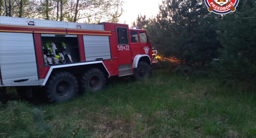 Palił się las w miejscowości Miejskie Pole w gminie Przedbórz. Gasiło go sześć jednostek straży