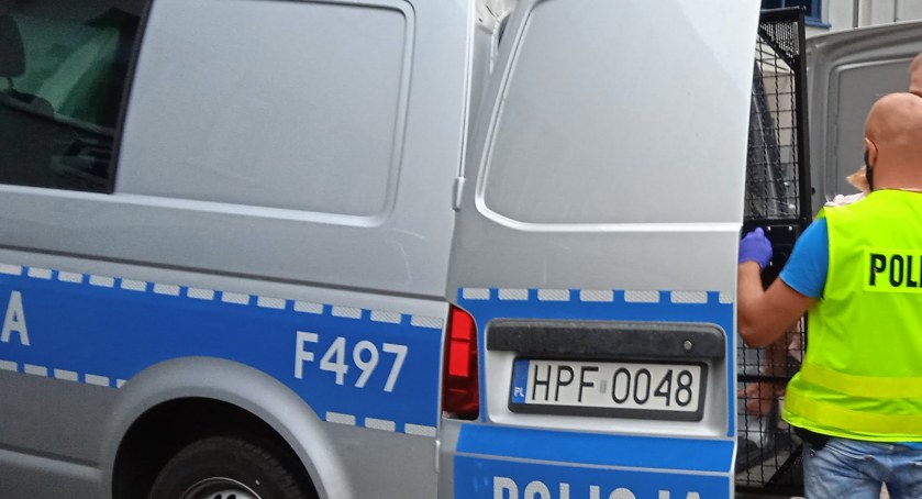 Prokuratura postawiła zarzuty uczestnikom strzelaniny. Siedzą w areszcie. Grozi im nawet dożywocie