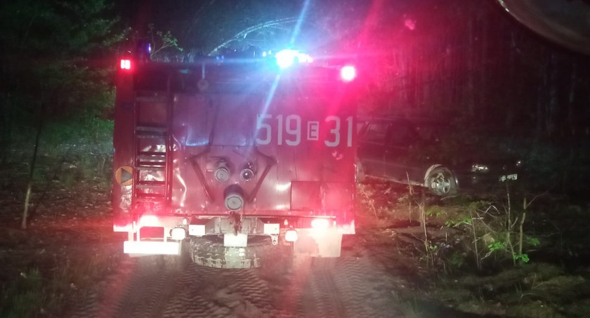 Pożar lasu w Maksymowie. Na miejsce wysłano cztery jednostki straży