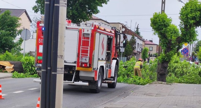 Uwaga! Dzisiaj mocno wieje. Na ulicy Narutowicza przewróciło się drzewo. Usuwają je strażacy 