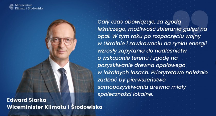 Węgiel coraz droższy? Wiceminister klimatu: Cały czas, za zgodą leśniczego, można w lesie zbierać chrust