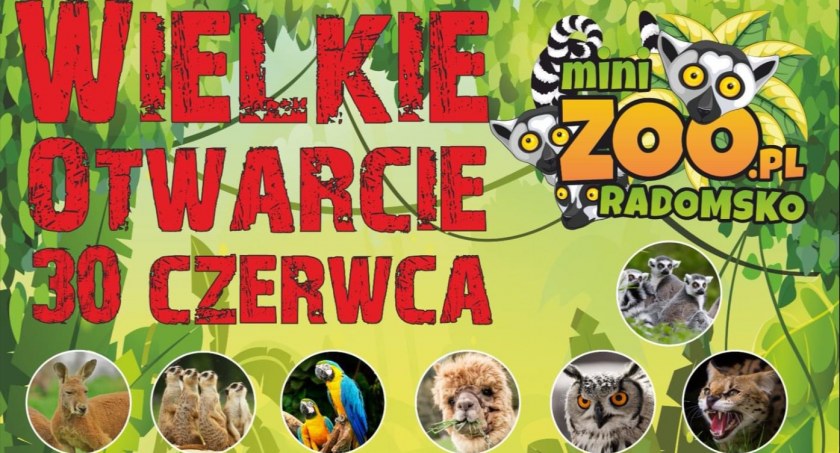 Wywiad o pierwszym w historii miasta Mini ZOO z egzotarium