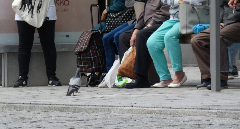 W ciągu dwóch lat Radomsku ubyło dwa tysiące mieszkańców! Nic tego nie tłumaczy