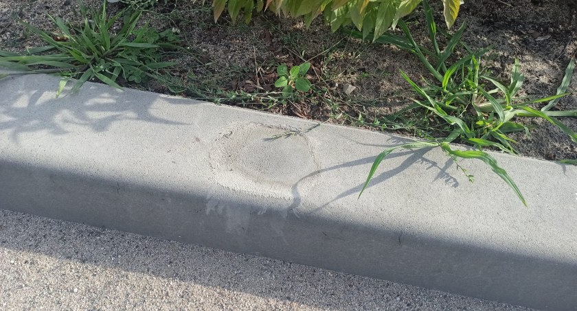 [Wideo] I znów radny Dębski do prezydenta Ferenca: To jest naprawa? Żądam wymiany krawężników na nowe w ramach gwarancji