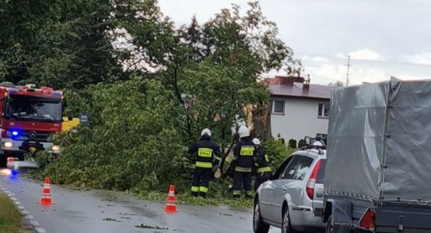 Strażacy usuwają powalone drzewo w Strzałkowie. Wystarczył jeden podmuch wiatru
