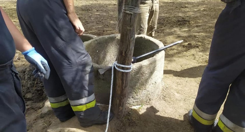 W miejscowości Sroków w gm. Wielgomłyny byk wpadł do studni. Strażakom nie udało się go uratować