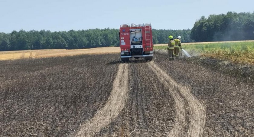 Kolejny pożar ścierniska w powiecie. Tym razem paliło się także zboże w gminie Kobiele Wielkie