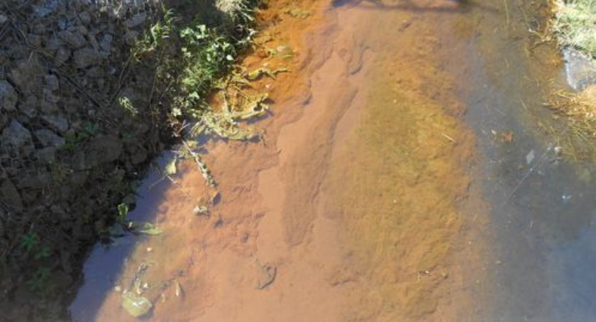 Pani Jadwiga: Susza? Zmiany klimatu? Wystarczy spojrzeć na Radomkę, tak to wygląda w praktyce