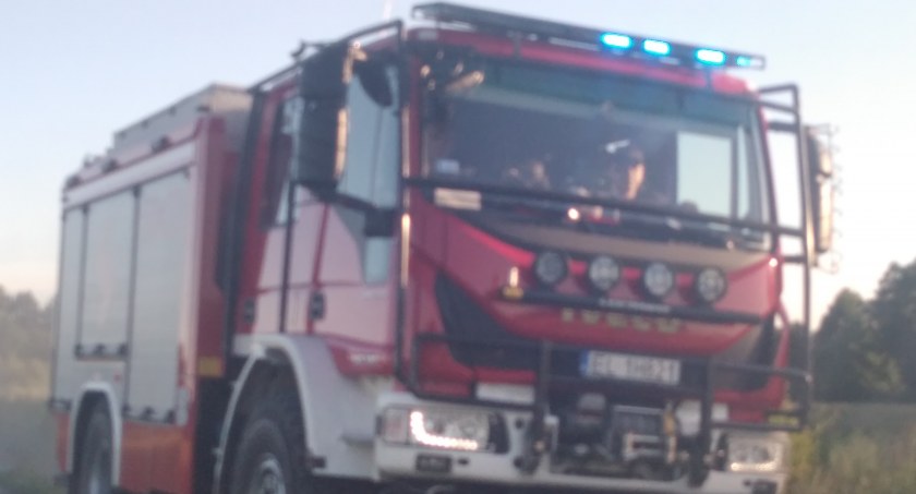 Pożar pola uprawnego w Masłowicach. Na miejsce docierają kolejne jednostki
