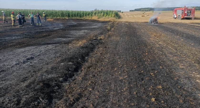 W Myśliwczowie w gminie Wielgomłyny spłonęło 6 ha terenu. W akcji wzięło udział 6 zastępów straży