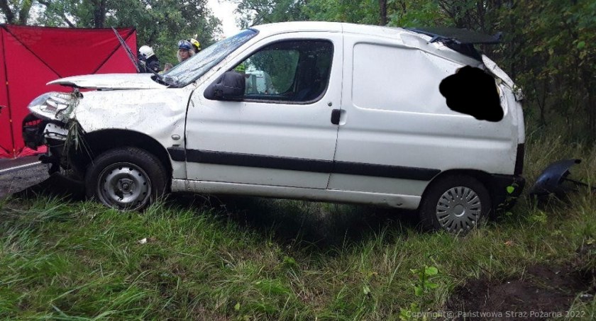 Samochód uderzył w drzewo, kierowca nie przeżył wypadku 