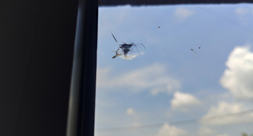 Sąsiad strzela prosto w okna. „Policjant co prawda spisał zeznania, ale potem poradził, żebym je wycofała