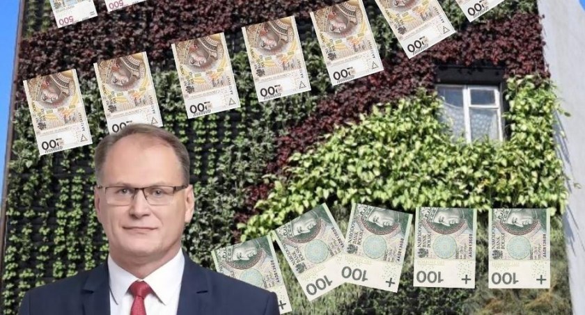 Więcek: Za 800 tys. na Reymonta zrobiono zielone ogrody, bo wcześniej wycięto drzewa, które tam rosły za darmo