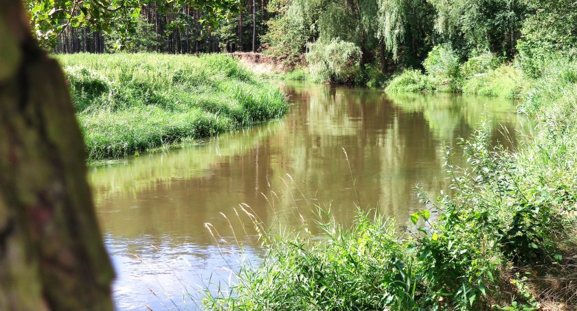 Warta i Pilica są czyste. Najwięcej śmieci zostawiamy my sami