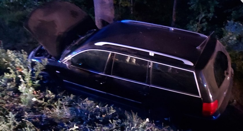 Masłowice: 65-latek zasłabł za kierownicą i jego VW wypadł z jezdni. Do zdarzenia doszło na DK 42