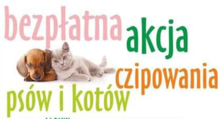 Kolejna akcja chipowania psów i kotów. Schronisko dla bezdomnych zwierząt zaprasza