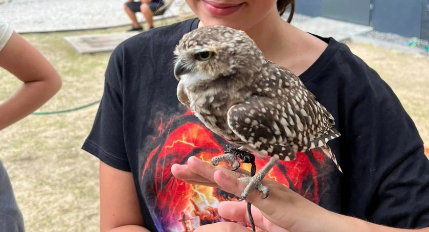 Czytelniczka o Mini ZOO: Czy naprawdę potrzebne jest miejsce, gdzie można „pościskać