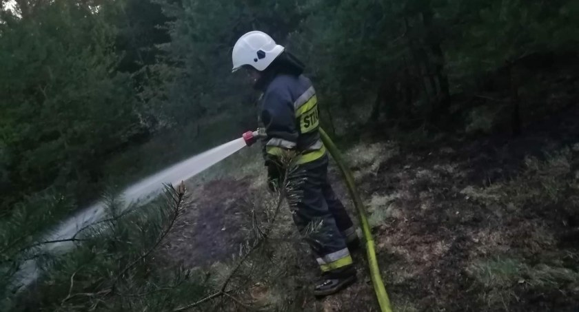 3 miliony dla strażaków ochotników w całym województwie. Nasi też zrobią zakupy