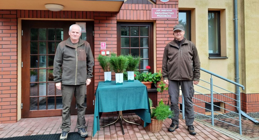 Akcja #sadziMY: Nadleśnictwo Przedbórz zaprasza po sadzonki dębu i sosny