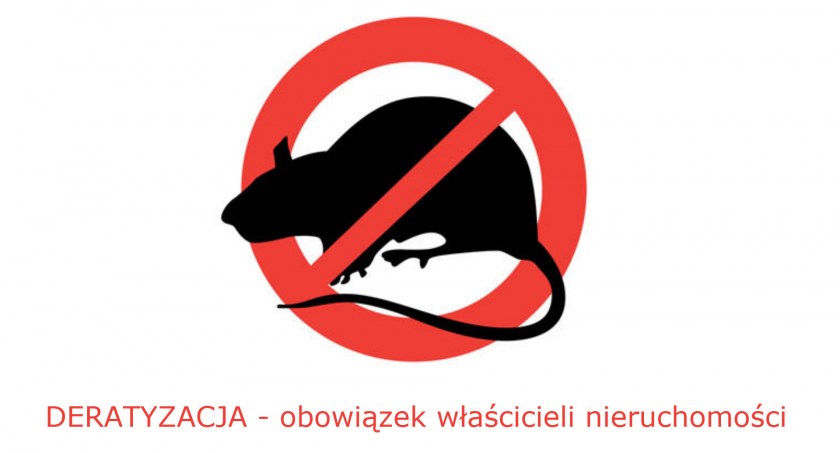 Urząd miasta przypomina o obowiązkowej deratyzacji