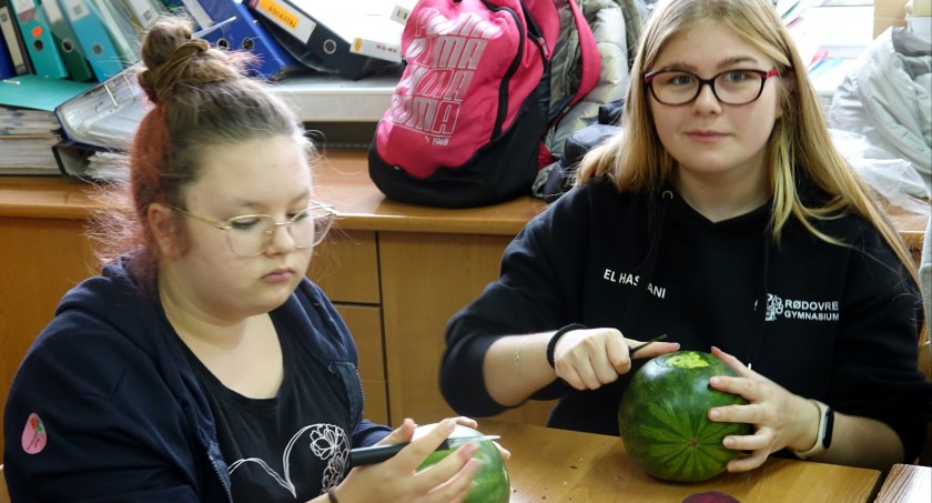 W Drzewniaku stawiają na rozwój. Wystartował projekt dla uczniów i nauczycieli wart ponad 360 tys. zł