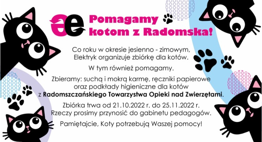 Zespoł Szkół Elektryczno-Elektronicznych ogłasza zbiórkę dla kotów