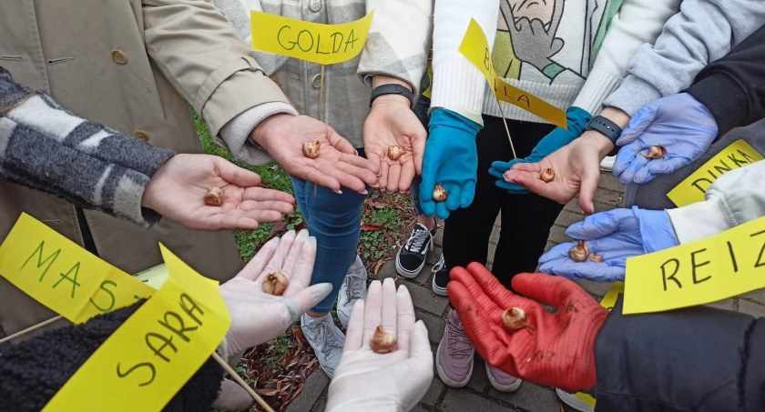 Podsumowanie projektu 