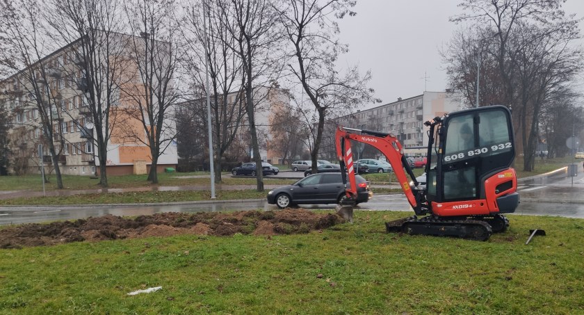 Berberysy, forsycje i cyprysiki na rondzie na Jagiellońskiej. Dendrolog Ernest Rudnicki: To bardzo dobry kierunek