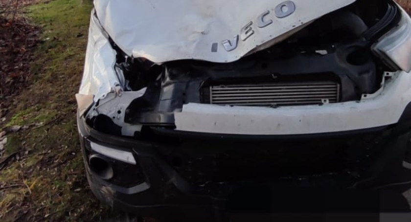 Mała Wieś, gmina Żytno. Zderzenie iveco z łosiem. Za kierownicą 48-latek z Dębicy