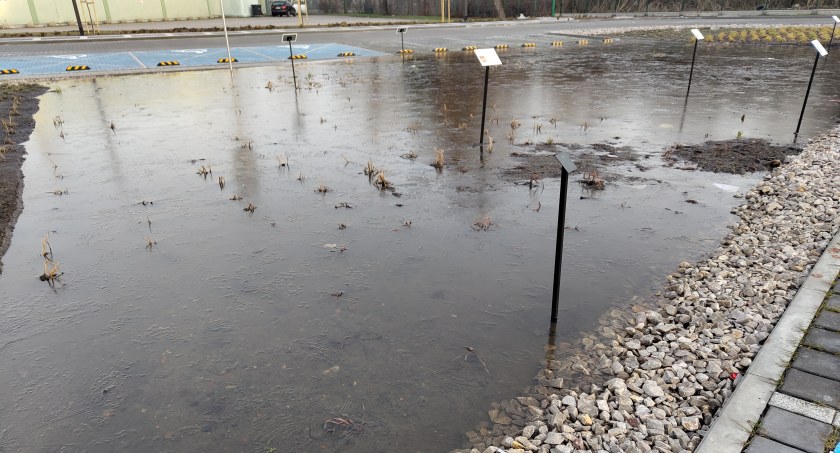 Absurdalna awantura o wodę na parkingu przy Reymonta. „Spłynęła tam, gdzie powinna, do ogrodu deszczowego