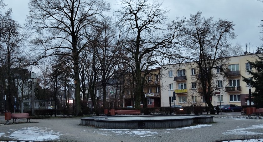 Plac 3 Maja do remontu. Sprawdziliśmy, co się stanie z drzewami