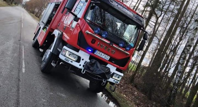 OSP Wielgomłyny: Druhowie wysłani do usunięcia drzewa z drogi. Stanowiło zagrożenie 