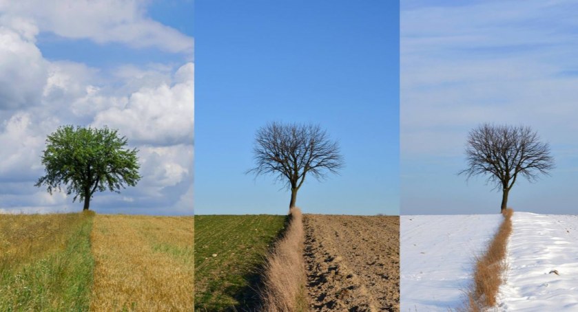 Zespół Szkół Ekonomicznych zaprasza do siódmej edycji konkursu fotograficznego 