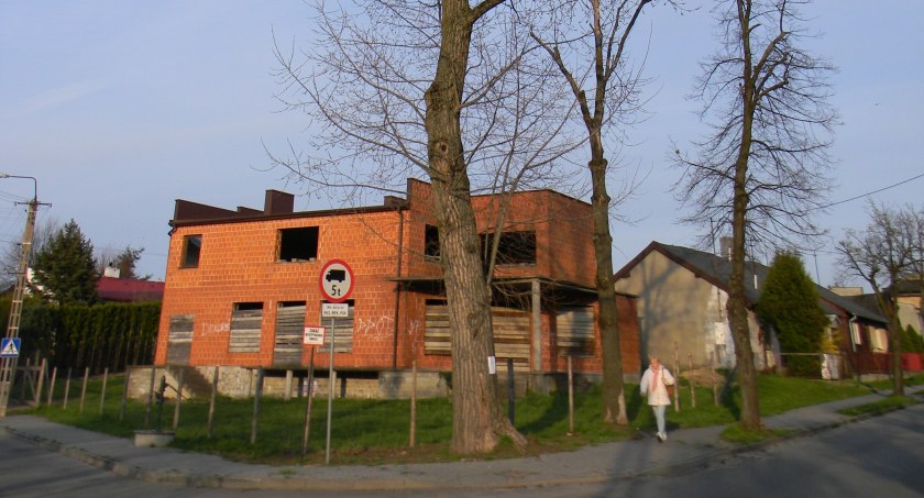 Dendrolog Ernest Rudnicki: Topola przy starej kuźni przejdzie pielęgnację. Skręt w Skoczyńskiego będzie zamknięty