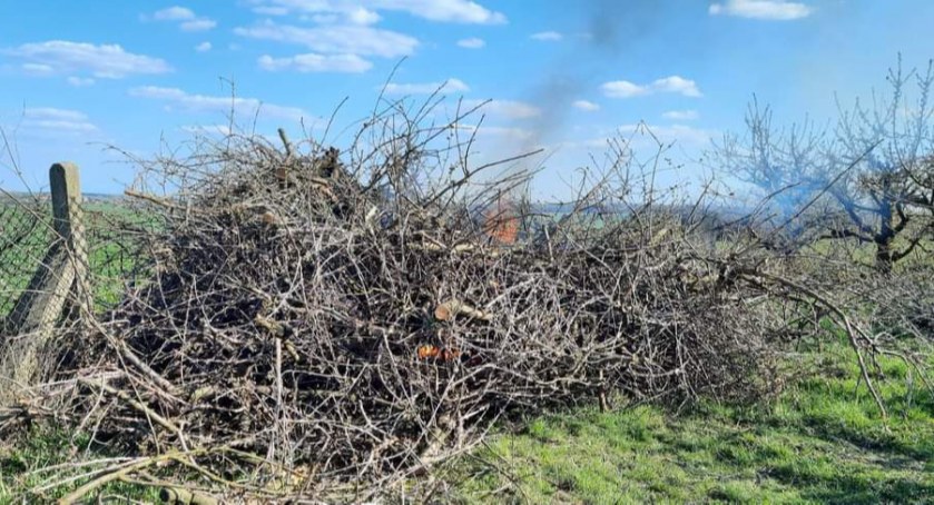 Dyżurny otrzymał informację: W Przydatkach Przybyszowskich pali się sucha trawa 