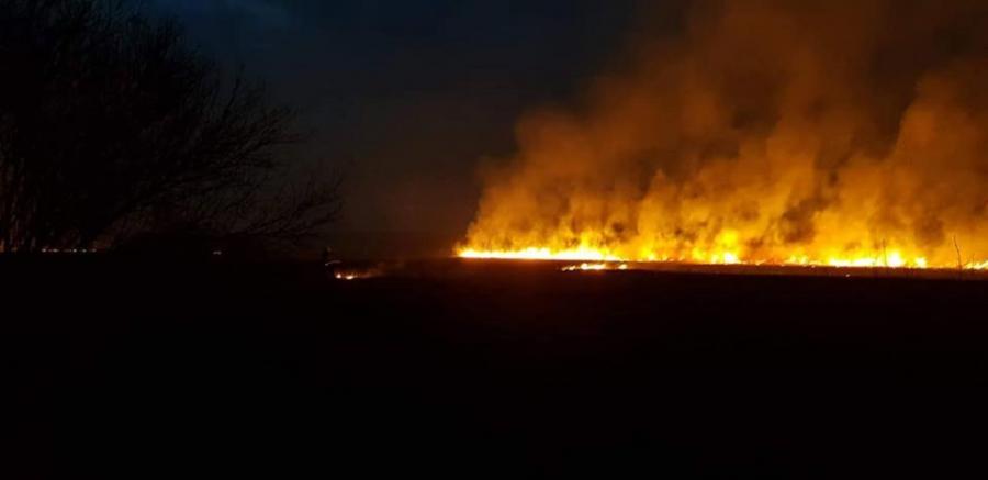 Spłonęło 8 hektarów lasu. Strażacy walczyli z żywiołem kilka godzin