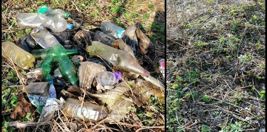 #trashchallenge: wyzwanie śmieciowe. Biuro turystyki starostwa przystąpiło do akcji