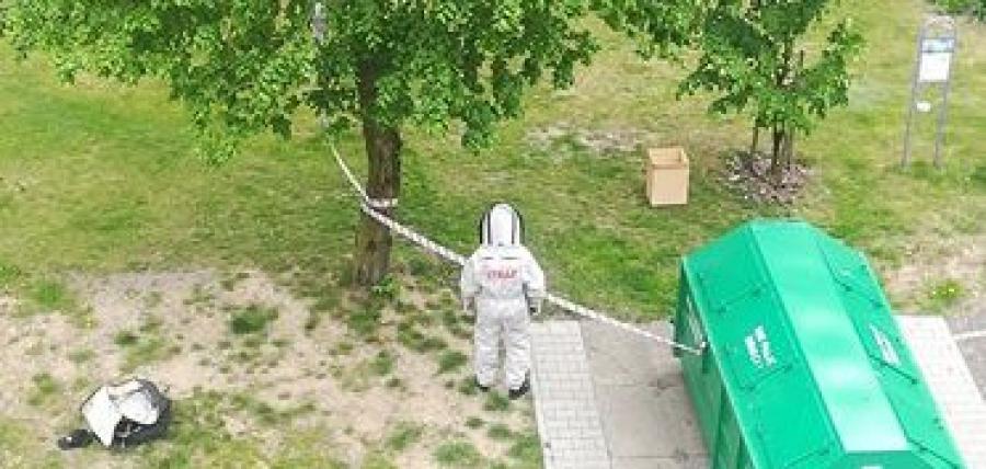 Gniazdo pszczół przy placu zabaw. Strażacy już je usunęli